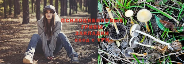 шишки Лиски