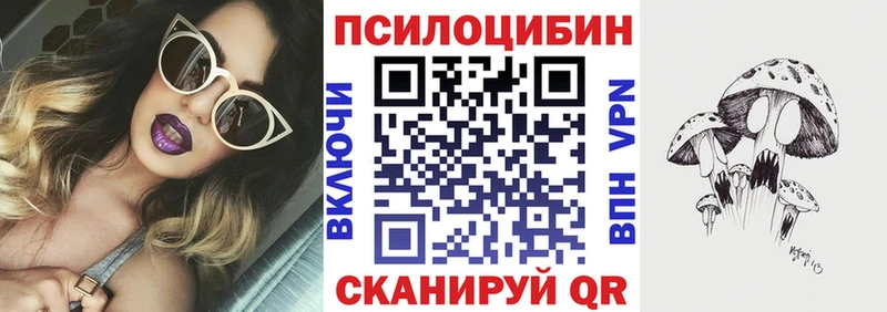 Галлюциногенные грибы мухоморы  Северская 