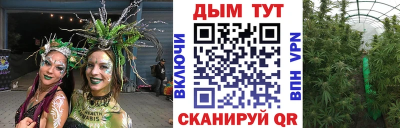 omg ссылка  Северская  Канабис семена 